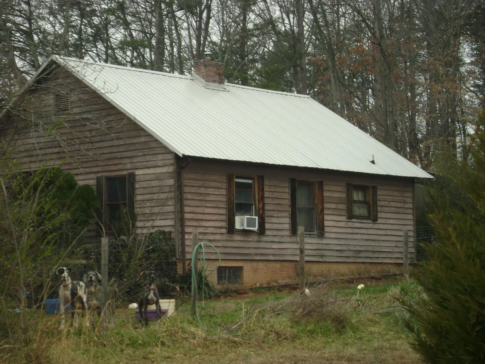 White metal roof on an old wood sided farmhouse, from a Asphalt Shingle Roof Repair job in Collinston